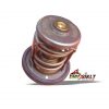 ترموستات موتور ان اس 200