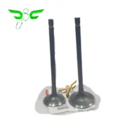 سوپاپ موتور زونتس 1230 ان 2